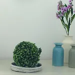 La Caletta Apartment *